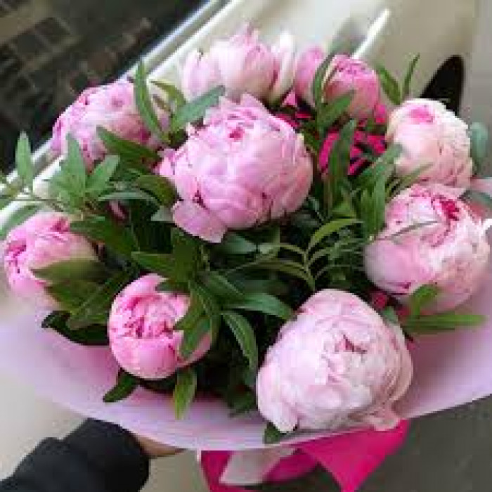 Пион древовидный в Астане