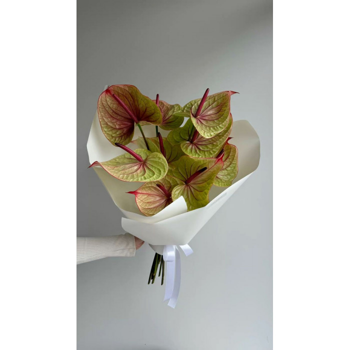 Антуриумы в Астане