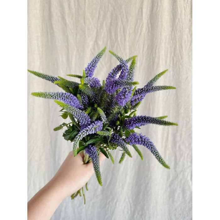 Вероника в Астане