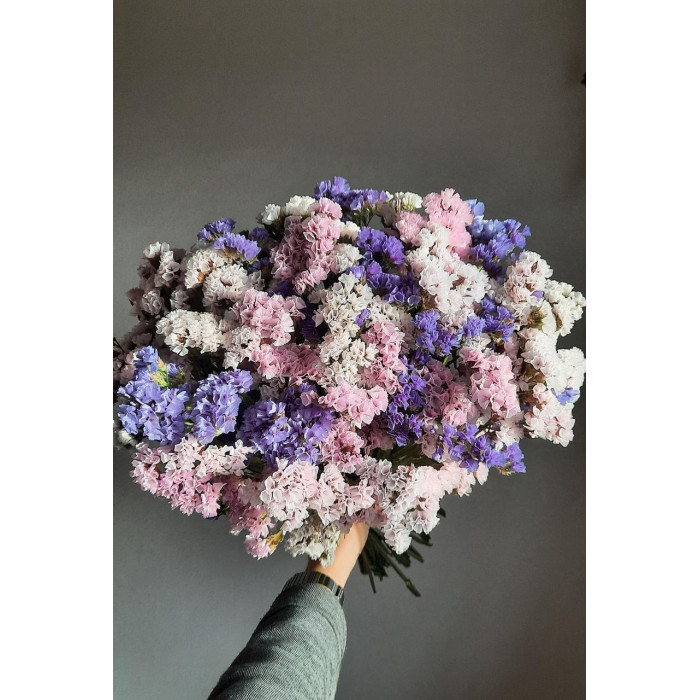 Статица (Лимониум) в Астане