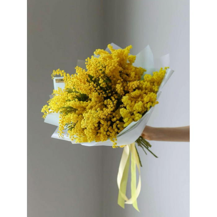 Мимоза в Астане