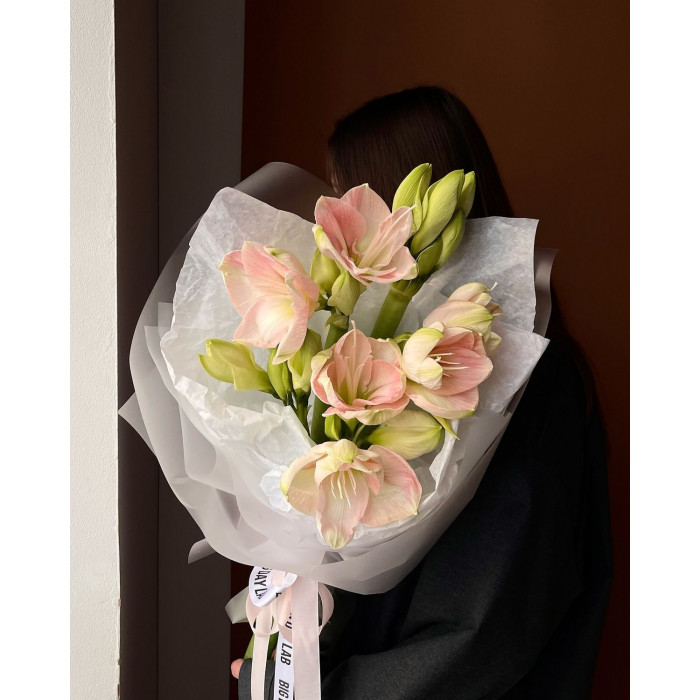 Амариллис в Астане