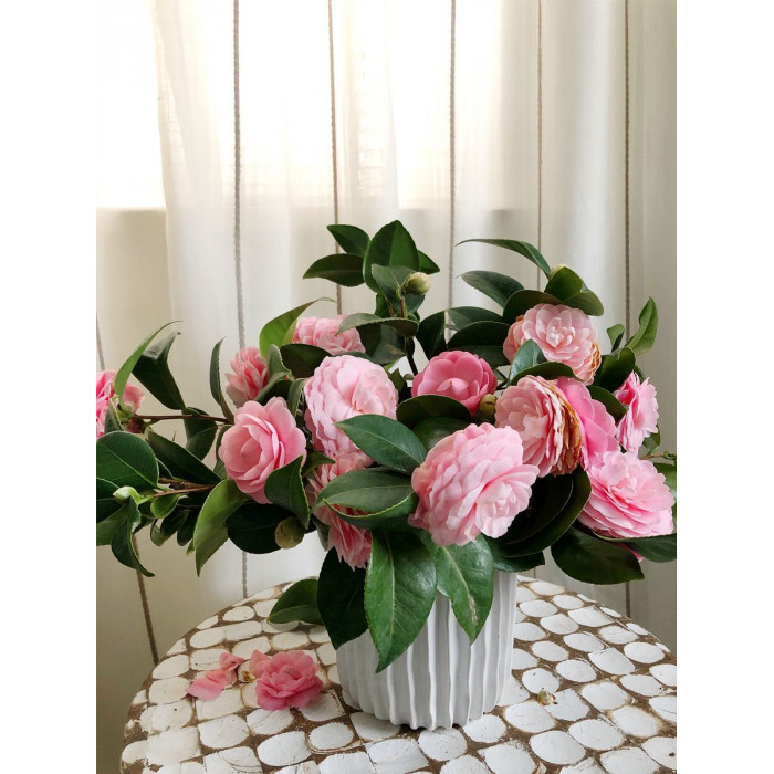 Камелия в Астане