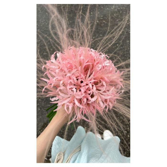 Нерине в Астане