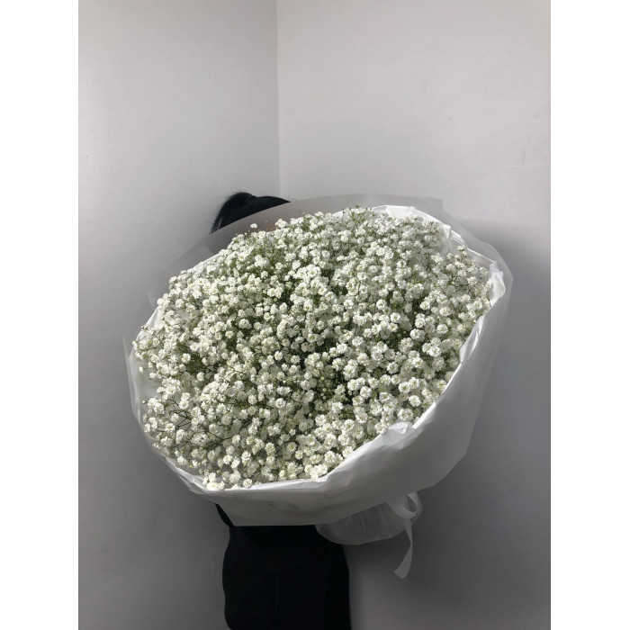 Гипсофила классическая в Астане