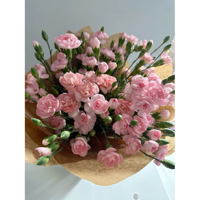 Кустовые гвоздики в Астане