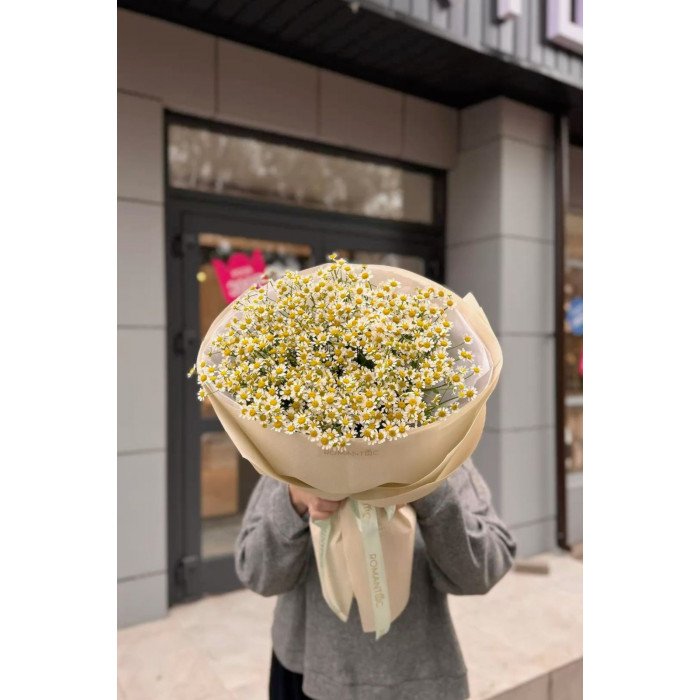 Танацетум в Астане