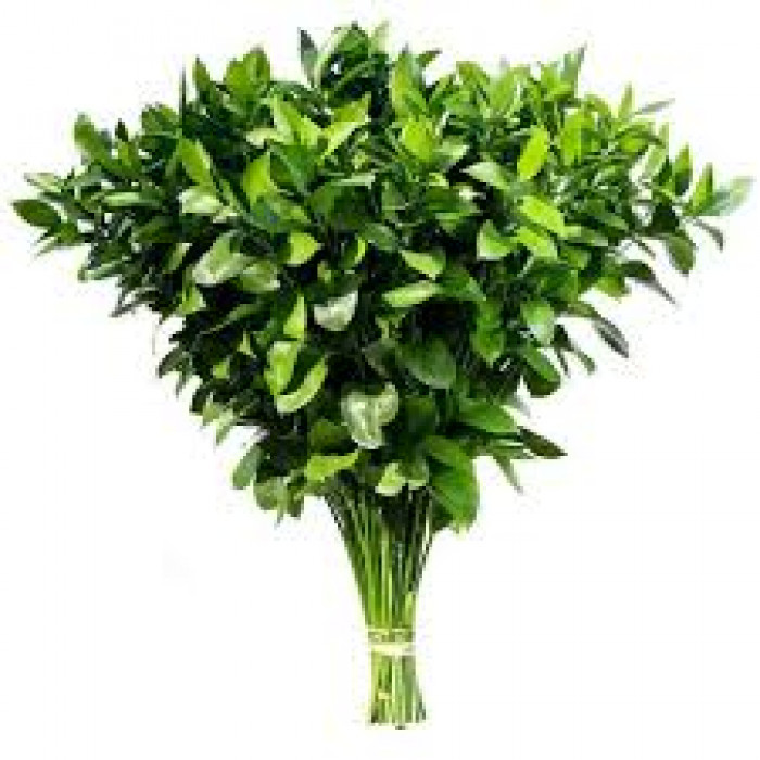 Рускус в Астане