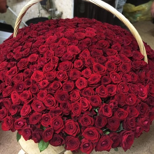 Купить на заказ 1001 роза с доставкой в Астане