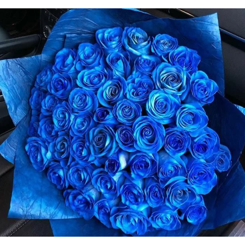 Купить на заказ 51 синяя роза с доставкой в Астане