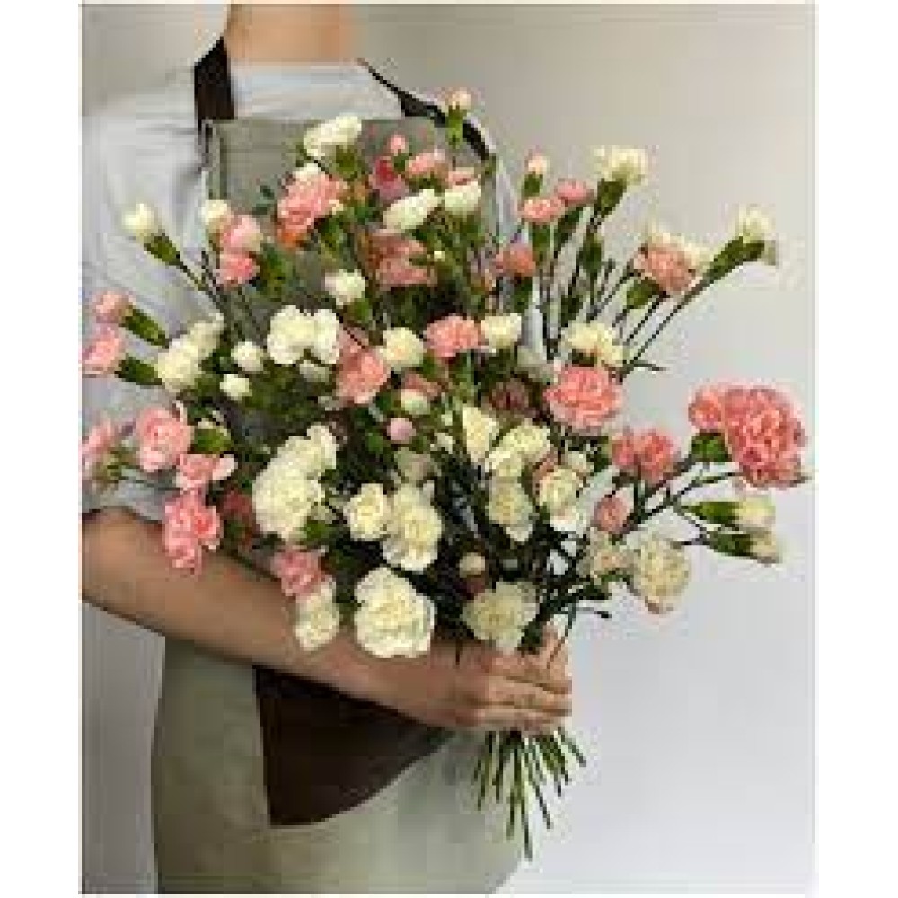 Bouquet of carnations (25 pcs.)