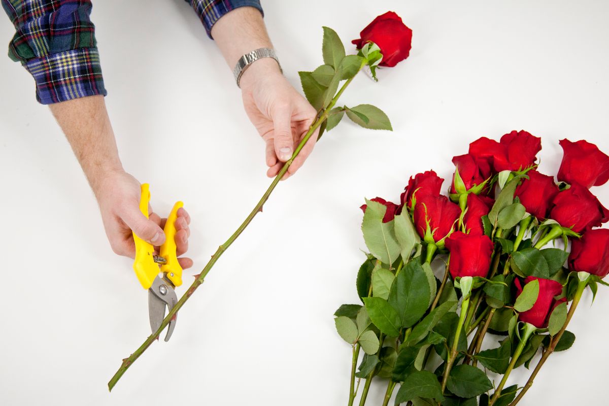 Как сохранить розы в вазе?